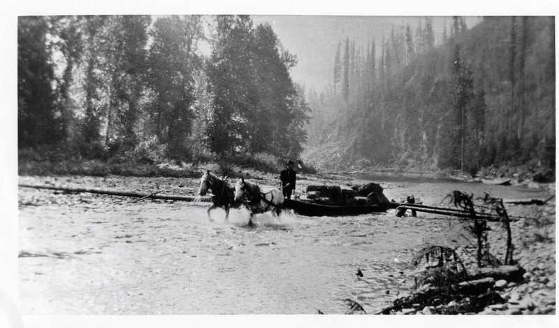 John Connors hauling logging supplies to the Winton Lumber Company convoys by flatboat and team on Coeur d'Alene River. Courtesy Mrs. Miles Robbins.