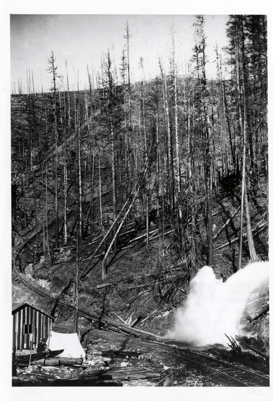 Milwaukee Lumber Company log chute located in the St. Joe National Forest. A man looks on as fire damaged logs are chuted to the log pond. Credit to U.S.D.A. Forest Service.