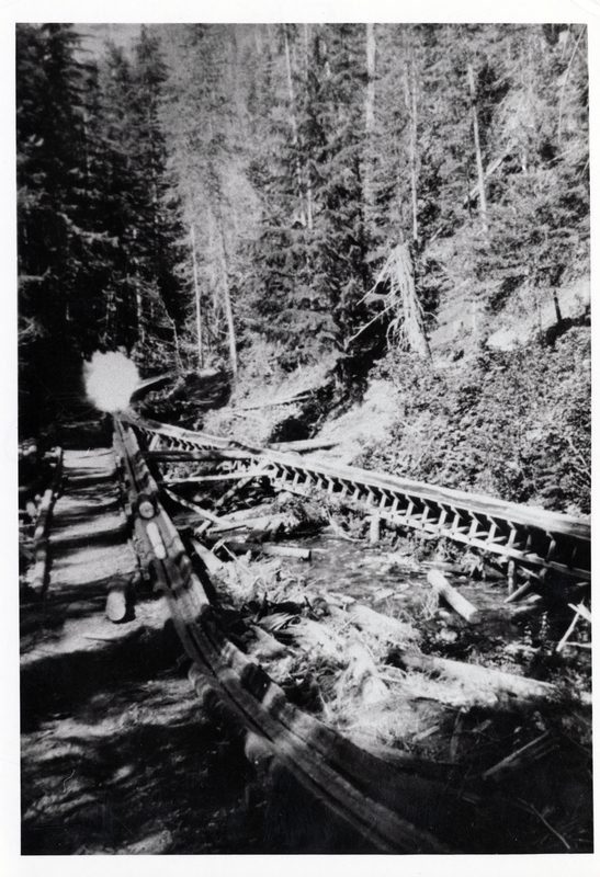 Winston Lumber Company Falls Creek Chute and Flume. According to Dick Reed this was a running chute most of the time  but a man and horse were kept near the junction in case the logs stopped before they got to the flume. Generally the logs entered the flume of their own momentum. Note the tow path to the left of the junction. The white spot is a plume of water thrown up when the log from the chute plunged into the water in the flume. You can also see another log in the chute about ready to hit the flume. Courtesy Tom Reed.