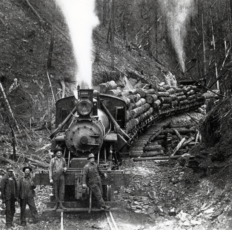 A picture of a train hauling lumber with workers standing around at the East Fork St. Joe-Big Creek drainage. Courtesy of the Superior Publishing Company in Seattle, Washington.