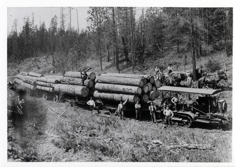 A tractor is ready to pull a load of logs to the river, specifically the Ray Rauch operation near Newport, Washington. Holt Caterpillar '60' Tractor pulling  'bummer', two wagons and three trailers loaded with a total 22,270 board feet of logs. Ray Rauch is the man wearing a vest. Courtesy Lester M. Tarbet.