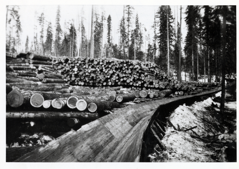 Logs stacked on log deck and Brickle Creek flume of the Panhandle Lumber Company. Brickle Creek is west of Spirit Lake. Courtesy of Mrs. Richard E. Ferrell (widow of the noted North Idaho lumberjack preacher) Spokane, Washington.