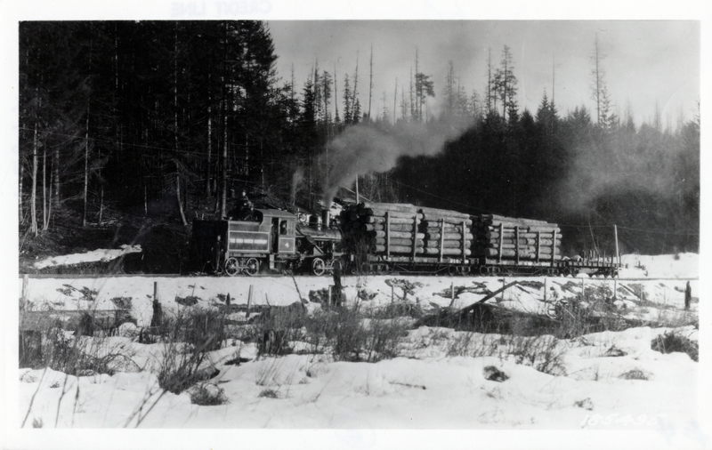 The log train is being pulled by a Heisler locomotive on a section of the Burnt Cabin Creek Railway. Photo is credited to the U.S.D.A. Forest Service.