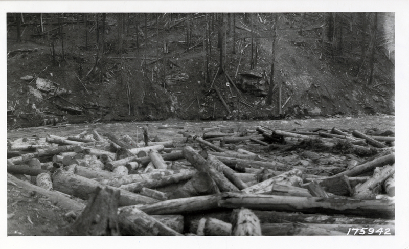 Logs located at the junction of Cranberry Creek and Marble Creek, St. Joe National Forest. Credit U.S.D.A. Forest Service.