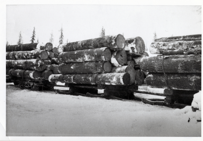 A tractor or 'cat' pulling a sleigh load of logs. Clearwater Timber Company, Headquarters, Idaho.