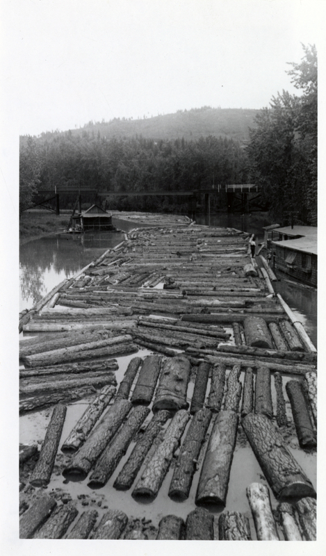 Brailed booms of logs being towed along narrow St. Maries River channel.