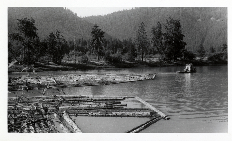 Brails of logs being towed on Coeur d'Alene River near Dudley, Idaho. Taken in August.