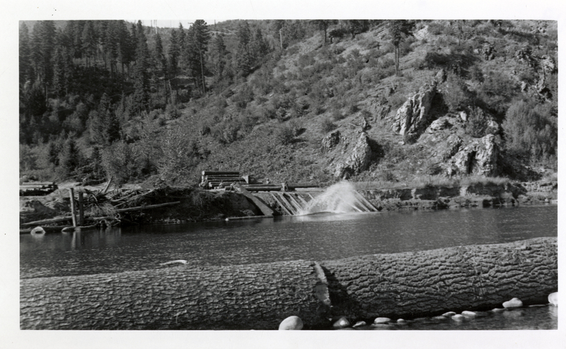 A photo of logs being unloaded into the St. Joe River at the Snooks Logging Camp.