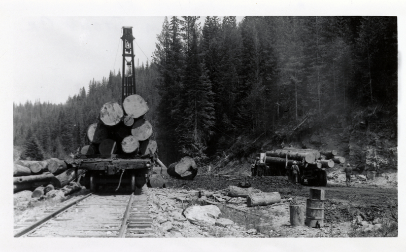 Potlatch Forests, Incorporated logs from Stony Creek, Merry Creek Landing, Clarkia, Idaho being transported.
