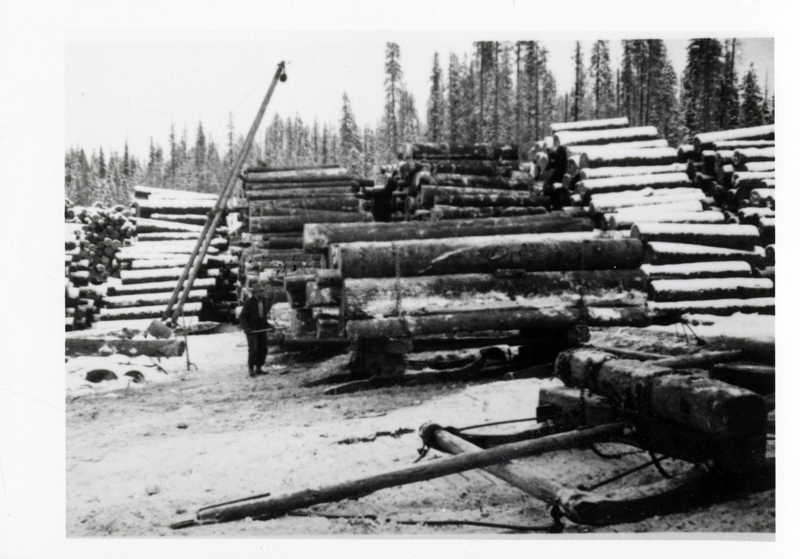 Sleigh loaded with logs with stacked logs in background.