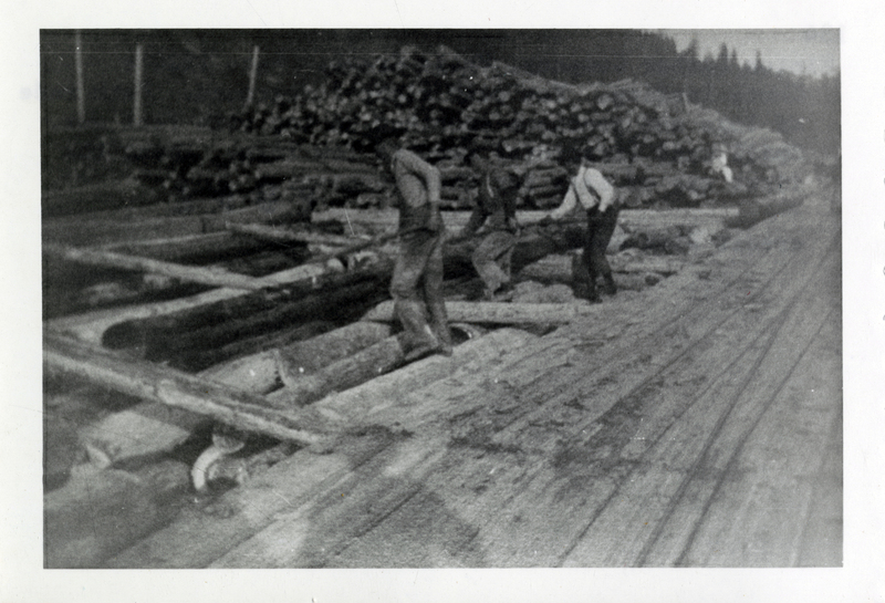 A picture of the Falls Creek chute landing which displays a tow path right, foreground, a path made of logs and puncheon smoothed with foot adze, a straight line in the center of the path is probably a decking line to enable the logs to be decked by a cross haul arrangement, and small 'cats' (tractors) used to tow logs. Note that the chute (last two logs on left) has been laid almost flat as was usual when logs were going to be decked at the landing. This made it easier for the peavey man to roll the logs onto the deck. Chute went to the last deck in the background on the left. Credit Dick Reed.