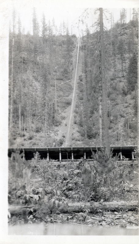 A picture of the Diamond Match Company chute and flume located in  Big Creek, Kaniksu National Forest.