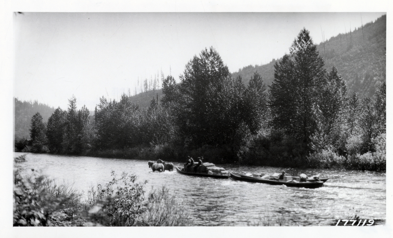 Logging supplies being hauled by flatboat and team up the North Fork of the Coeur d'Alene River, half mile above Prichard, Idaho. All logging supplies, including camp equipment and machinery, are being transported in this way. Logging railroad being constructed will replace this method.