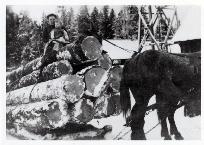 Joe Brown logging operation at Sanders, Idaho. Woman and children sitting on sleigh load of logs, left to right: Mrs. Joe Brown, Esther Brown, and Roy Brown. (ALS Esther St. George to Clarence C. Strong on 8/15/1968.) Courtesy of his daughter (presumably Esther St. George), Sanders, Idaho.