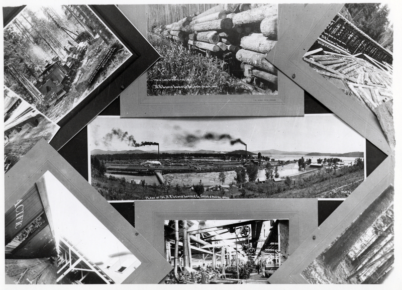 A collage of pictures showing logging operations at B.R. Lewis Lumber Company.
