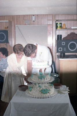 Bride and groom slicing a wedding cake [01]