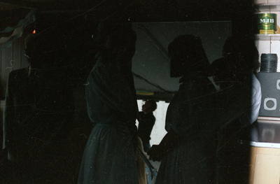 Wedding guests pose [02]